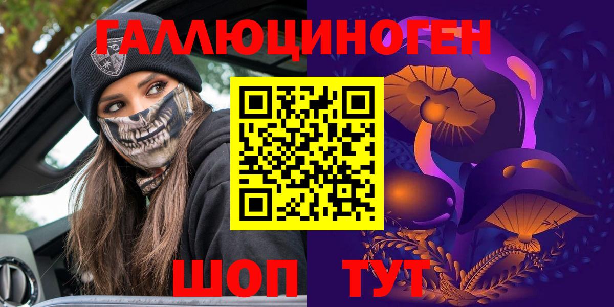 APVP Кудрово