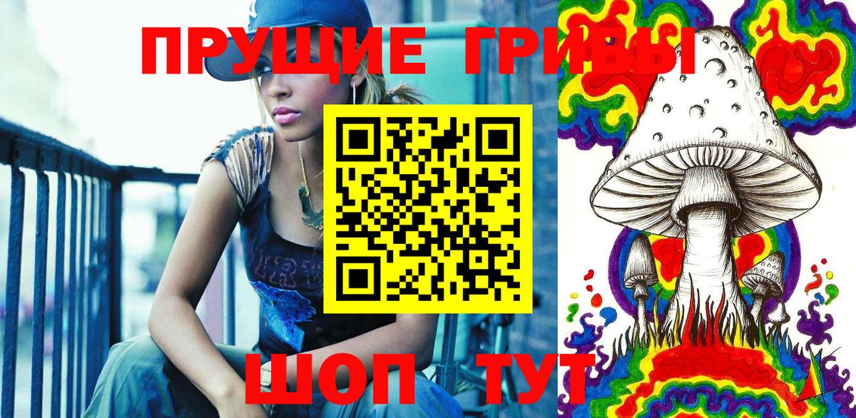 Галлюциногенные грибы Psilocybine cubensis  купить   Кудрово  Вход с VPN  Галлюциногенные грибы Psilocybine cubensis 