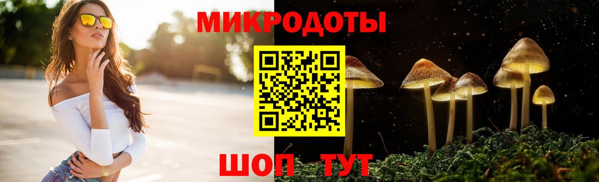 Псилоцибиновые грибы Magic Shrooms  где продают   Псилоцибиновые грибы Magic Shrooms  Кудрово 
