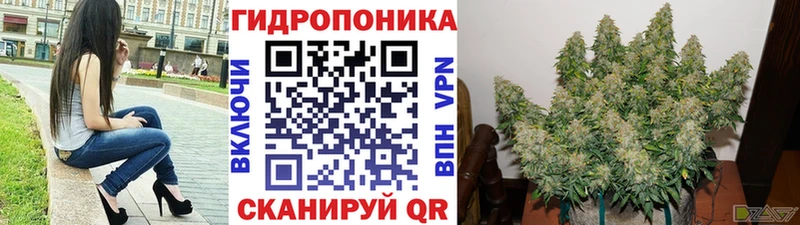 МАРИХУАНА White Widow  где найти   ОМГ ОМГ сайт  Кудрово 